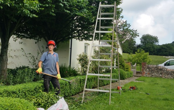 Hedge Trimming Services