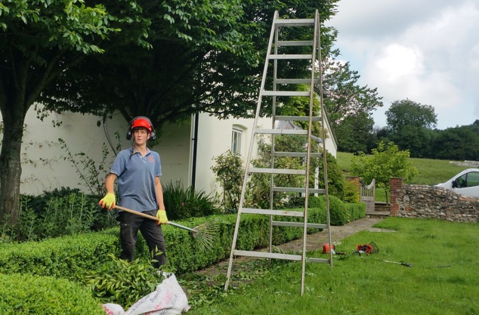 Hedge Trimming Services