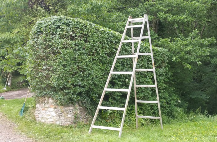 Hedge Trimming Services