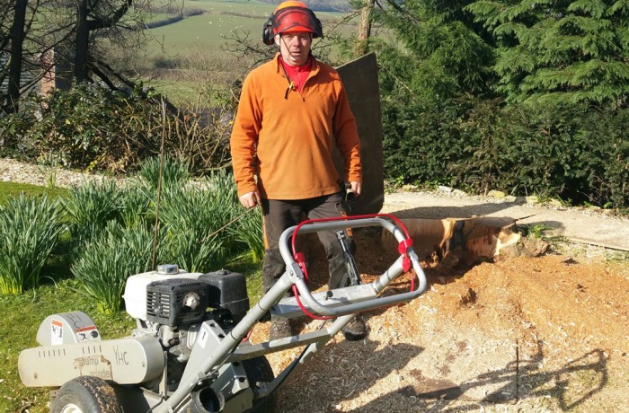 Stump Grinding