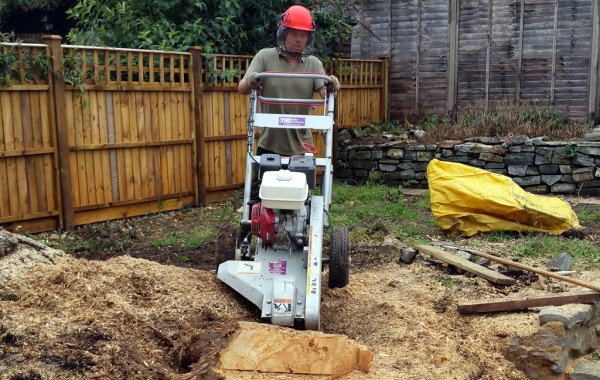 Stump Grinding